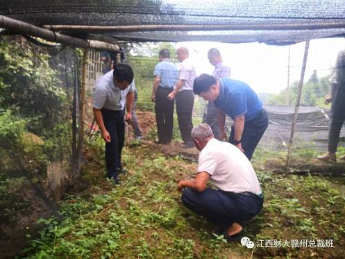 【扶貧活動】博海國濟商學院贛州教學點——贛州市江西財大EMBA同學聯誼會赴會昌縣洞頭鄉開展扶貧活動669.jpg