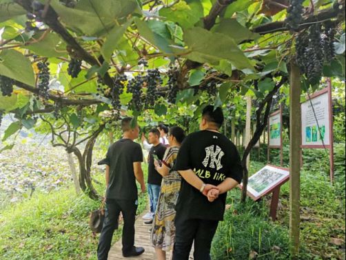 天然氧吧，醉美梯田——記博海國濟商學院贛州教學點總裁19班崇義之旅444.jpg