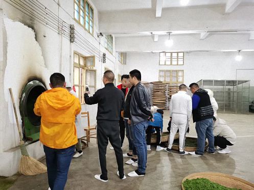 不負春光，踏青采茶——記贛州教學點總裁23班走進上猶五指峰上洞茶園516.jpg