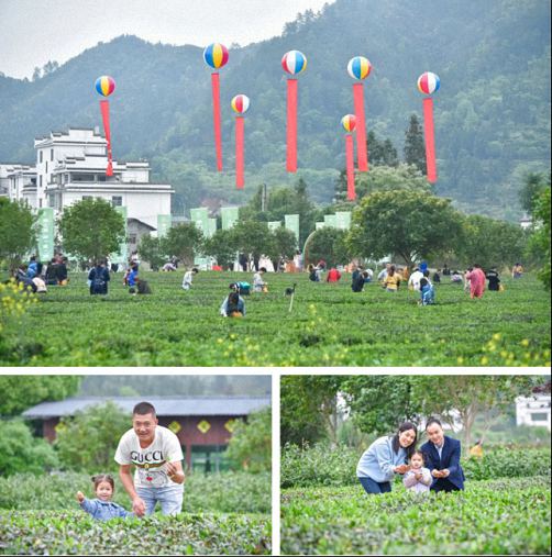 贛州教學點江財EMBA同學聯誼會走進上猶第四屆茶香旅游季1106.jpg