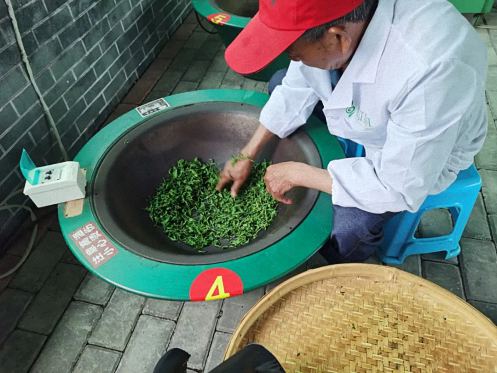 贛州教學點江財EMBA同學聯誼會走進上猶第四屆茶香旅游季1188.jpg