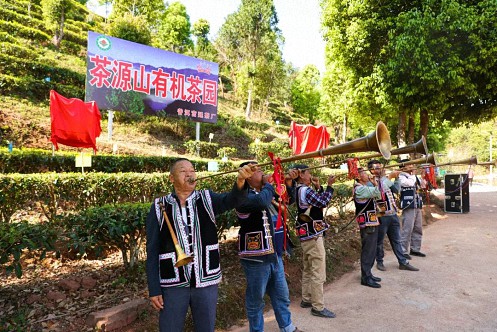 【企業走訪】——云南新商界25班白祖良同學企業——普洱宮廷茶廠茶源山春茶開采活動148.jpg